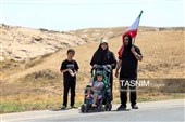 زائران پیاده حرم مطهر امام رضا (ع)