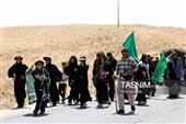 زائران پیاده حرم مطهر امام رضا (ع)