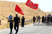 زائران پیاده حرم مطهر امام رضا (ع)