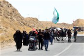زائران پیاده حرم مطهر امام رضا (ع)