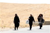 زائران پیاده حرم مطهر امام رضا (ع)