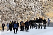 زائران پیاده حرم مطهر امام رضا (ع)