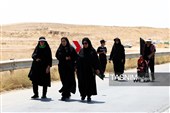 زائران پیاده حرم مطهر امام رضا (ع)