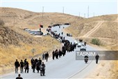 زائران پیاده حرم مطهر امام رضا (ع)