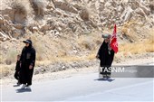زائران پیاده حرم مطهر امام رضا (ع)