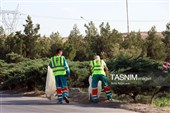 خدمتگزاران ایران امام رضا(ع) در جاده های منتهی به مشهد