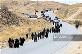 زائران پیاده حرم مطهر امام رضا (ع)
