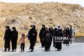 زائران پیاده حرم مطهر امام رضا (ع)