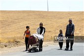 زائران پیاده حرم مطهر امام رضا (ع)