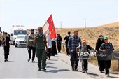 زائران پیاده حرم مطهر امام رضا (ع)