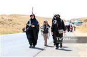 زائران پیاده حرم مطهر امام رضا (ع)