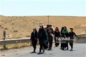 زائران پیاده حرم مطهر امام رضا (ع)