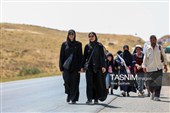 زائران پیاده حرم مطهر امام رضا (ع)