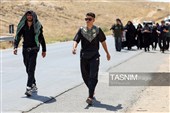 زائران پیاده حرم مطهر امام رضا (ع)