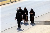 زائران پیاده حرم مطهر امام رضا (ع)