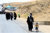 زائران پیاده حرم مطهر امام رضا (ع)