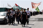زائران پیاده حرم مطهر امام رضا (ع)