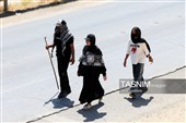 زائران پیاده حرم مطهر امام رضا (ع)