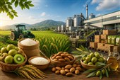 اینفوگرافیک| صنعت؛ پیشران کشاورزی گیلان
