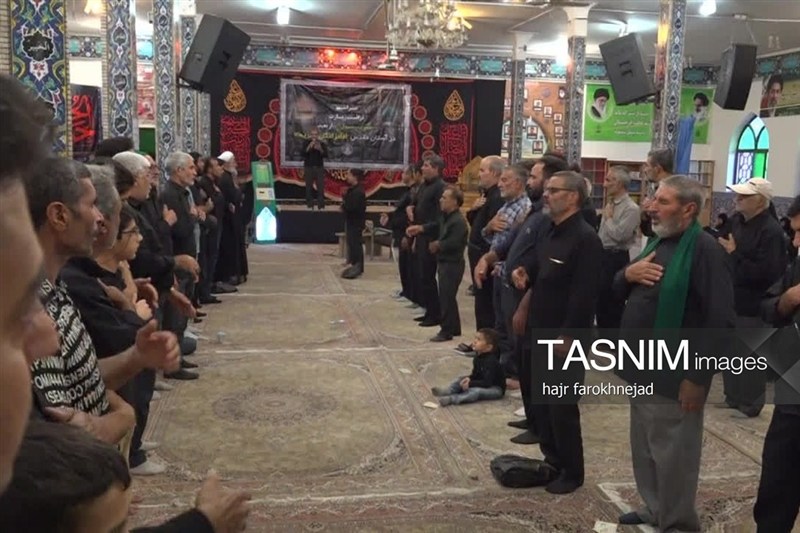 اخبار استان خراسان جنوبی , امام رضا (ع) , خبرگزاری تسنیم ,