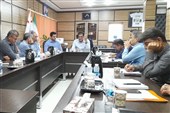 تدوین برنامه‌های هفته دولت در حوزه ورزش شهرستان‌های استان بوشهر