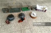 دستگیری شکارچیان غیرمجاز سهره طلایی در شهرستان ابهر