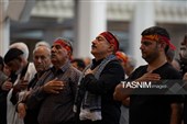 شاهچراغ(ع) در ماتم امام رئوف