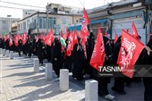 سوگواری زنان محله نوغان در سالروز شهادت امام هشتم(ع)