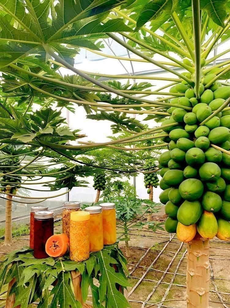 اخبار استان مازندران , اخبار بابل ,