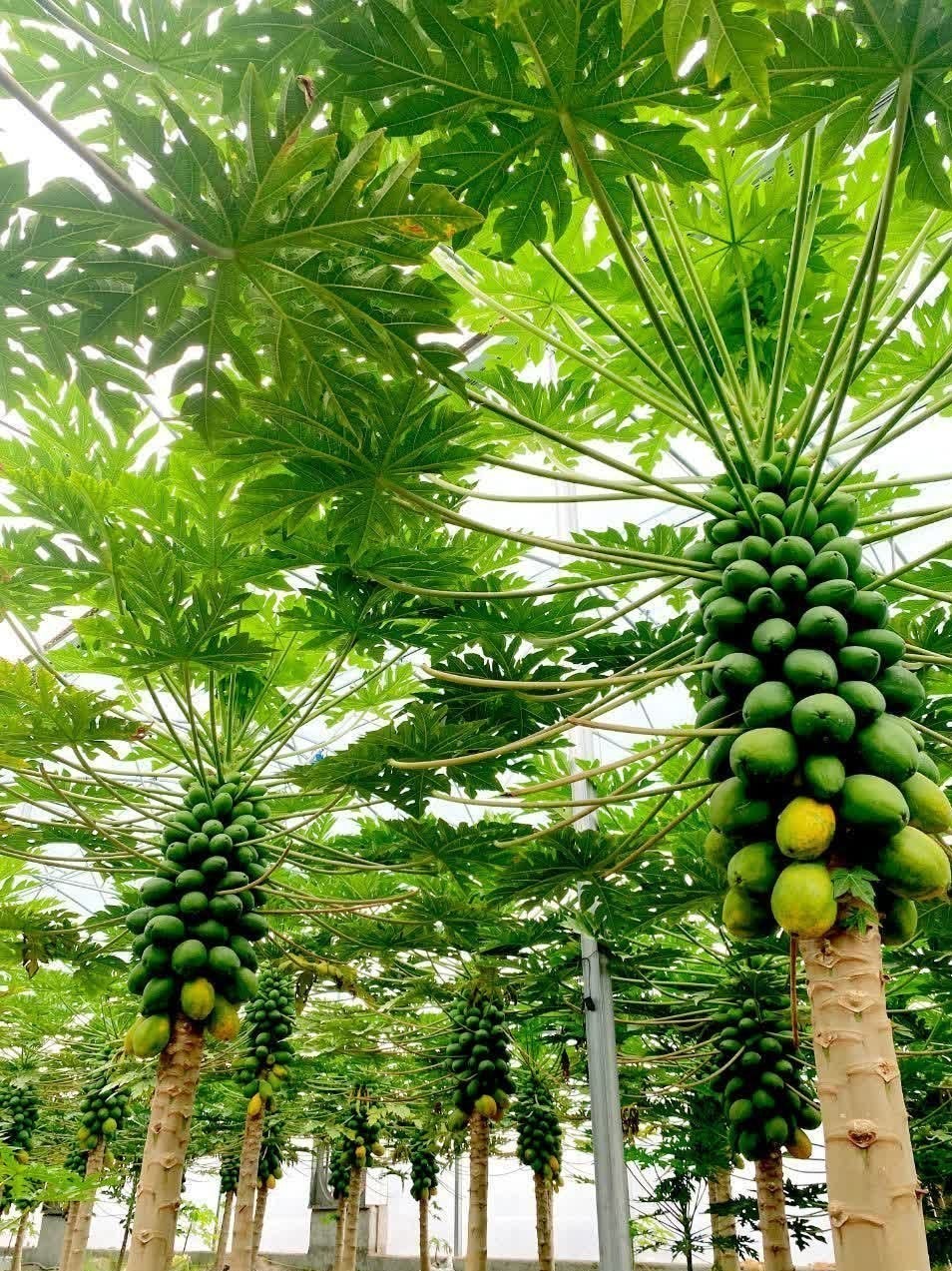 اخبار استان مازندران , اخبار بابل ,