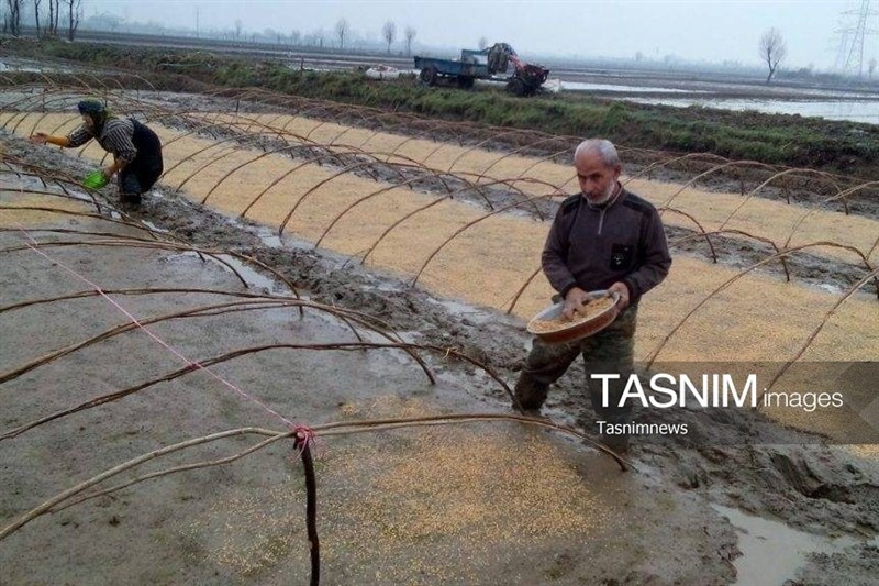 سفر به قلب هویت و اصالت گیلان؛ روزگار پرمهر و سبک زندگی اصیل