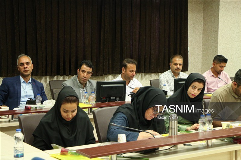 مجلس شورای اسلامی ایران , اخبار استان زنجان , نمایندگان مجلس شورای اسلامی ایران , ارز , 