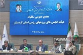 اختصاص 4 میلیارد تومان به ورزش‌های رزمی/حذف سبک‌های غیرفعال