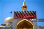 ث؛ مثل ثامن‌الائمه