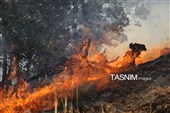 میانکاله را چه کسی می‌سوزاند؟/ واکاوی 12 آتش‌سوزی مشکوک در 16 روز!
