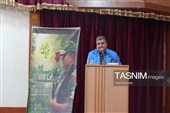 امید در دل بلوطستان