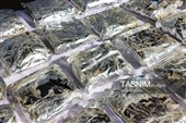 کشف 650 کیلوگرم مواد مخدر در استان خراسان رضوی