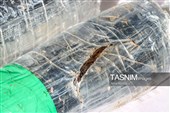 کشف 650 کیلوگرم مواد مخدر در استان خراسان رضوی