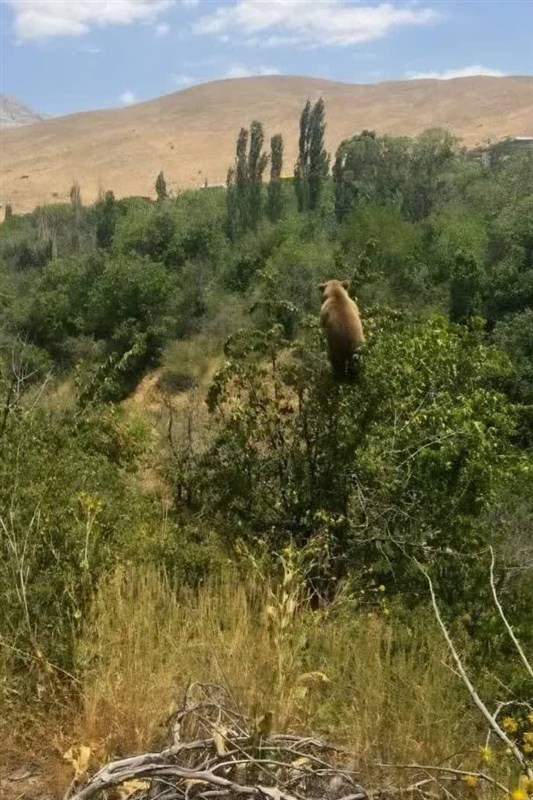 اخبار کرج , اخبار استان البرز , جاده چالوس , زندگی روستایی ,