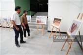 نمایشگاه عکس ایران من سرای من