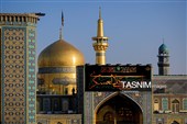 تعویض پرچم و نصب کتیبه‌های شهادت امام حسن عسکری(ع) در حرم مطهر رضوی