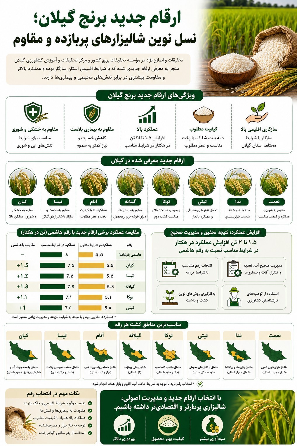 اخبار رشت , واردات برنج , اخبار استان گیلان , نظام مسائل استان گیلان ,