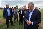 اوراق گام و برات برای تأمین مالی تعاونی‌ها وارد میدان می‌شود