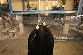 بازدید خبرنگاران از کارخانه آرد همدان