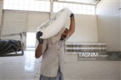 بازدید خبرنگاران از کارخانه آرد همدان