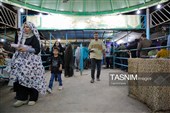 جمکران غرق ماتم اباالمهدی(ع)