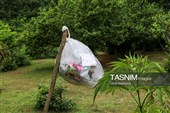 تفریح و تخریب