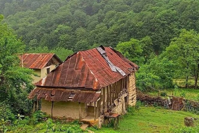 ارضت طبیعت پنهان مازندران