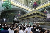 آیین غبارروبی ضریح مطهر رضوی