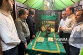 آغاز هفته دولت در استان بوشهر با ادای احترام به شهدا